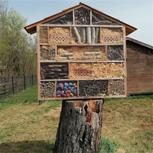KIGA+Insektenhaus+%26+Hochbeet